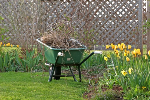Flower Bed Cleanup Service in Prescott Valley