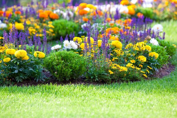 Flower Bed Maintenance in Prescott Valley