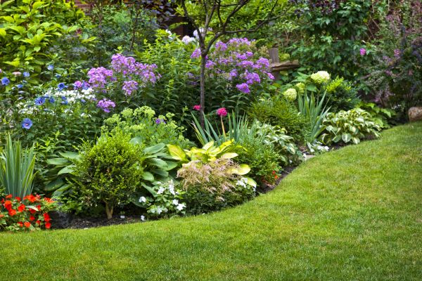 Flower Bed Service in Prescott Valley