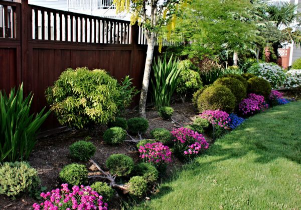 Garden Care Service in Prescott Valley