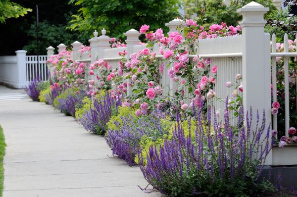 Garden Handyman Service in Prescott Valley
