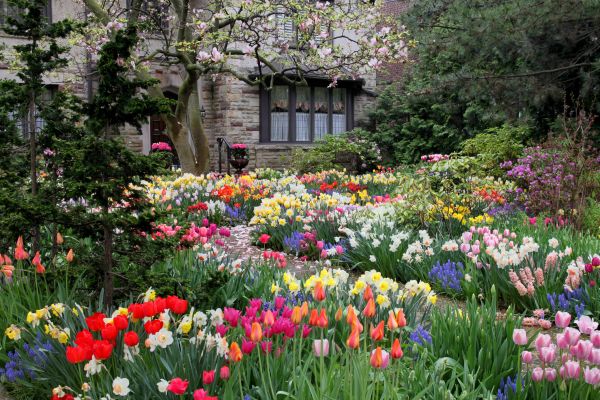 Garden Maintenance Service in Prescott Valley