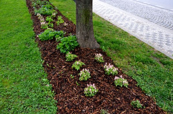 Mulch Replacement Service in Prescott Valley