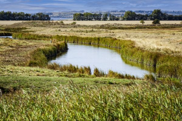 Swale Landscaping in Prescott Valley