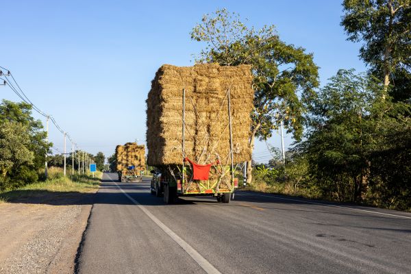 Pine Straw Delivery in Prescott Valley