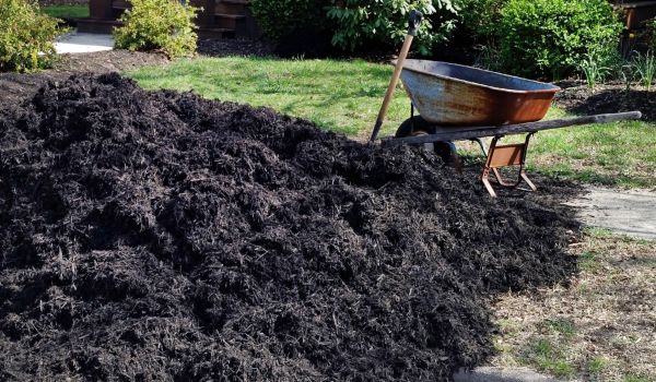 Black Mulch Delivery in Prescott Valley