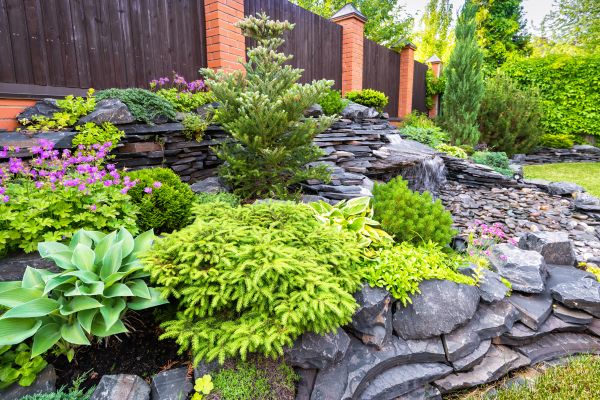 Landscape Remodeling in Prescott Valley