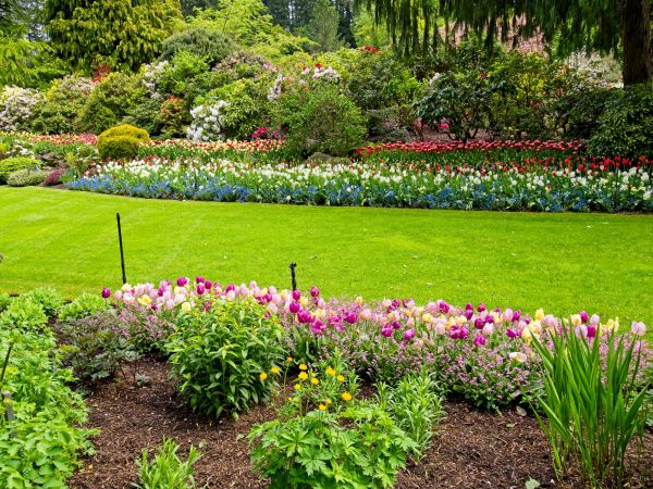 Residential Landscape Design in Prescott Valley
