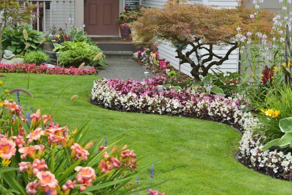 Perennial Landscaping in Prescott Valley