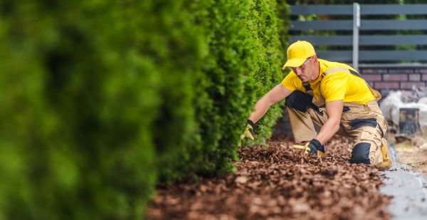 Cypress Mulch Installation in Prescott Valley