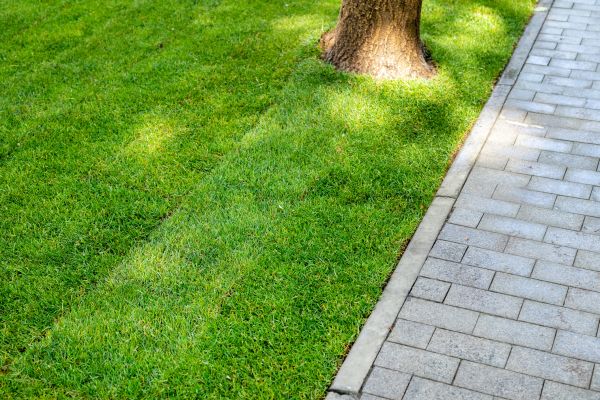 Border Stone Installation in Prescott Valley