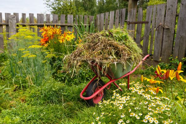 Garden Cleanup Service in Prescott Valley