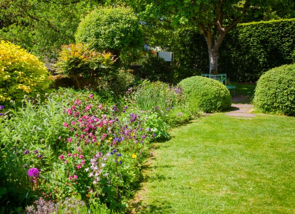 Yard Landscaping Service in Prescott Valley