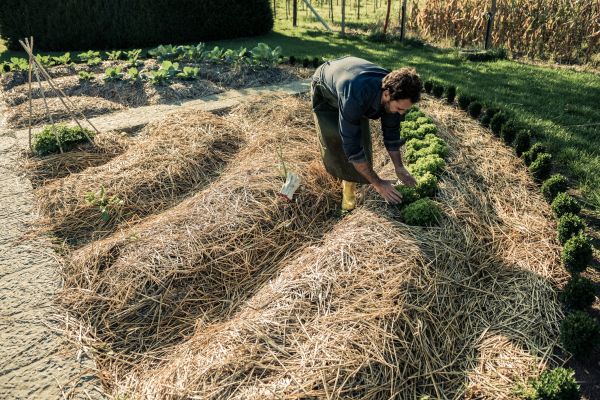 Straw Mulching Service in Prescott Valley