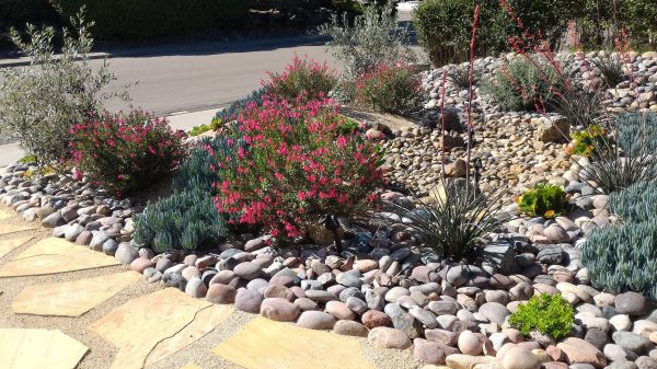 Xeriscape Landscaping in Prescott Valley