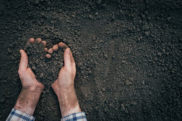 Soil Installation in Prescott Valley