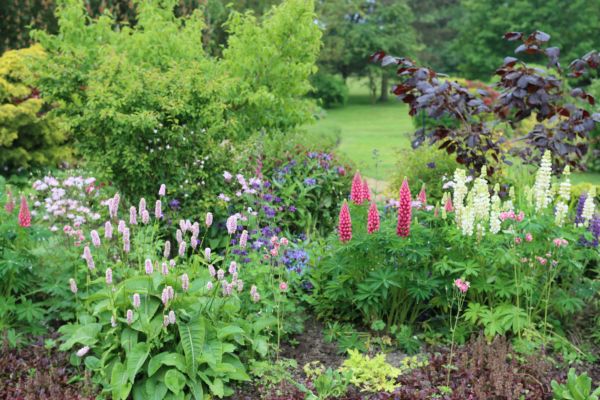 Flower Bed Planting in Prescott Valley