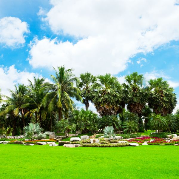 Tropical Landscaping in Prescott Valley