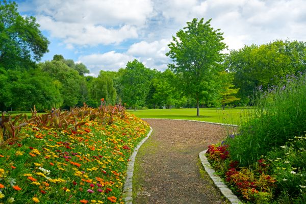 Park Landscaping in Prescott Valley