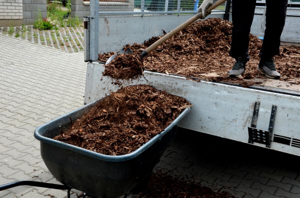 Cypress Mulch Delivery in Prescott Valley