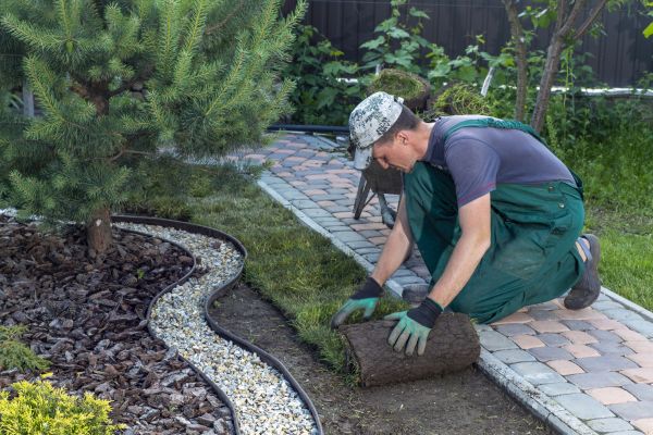 Landscaping Modification in Prescott Valley