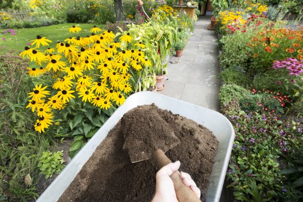 Topsoil Replacement in Prescott Valley