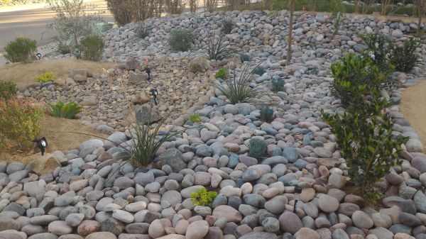 Yard Xeriscaping in Prescott Valley
