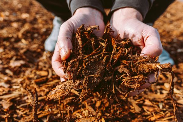 Bark Chips Delivery in Prescott Valley