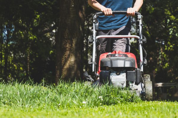 Garden Trimming Service in Prescott Valley