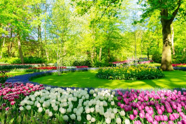 Flower Landscaping in Prescott Valley