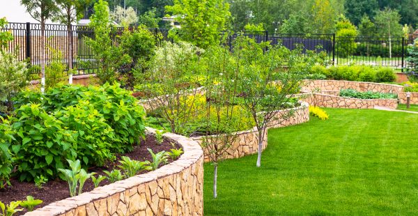 Yard Makeover Service in Prescott Valley