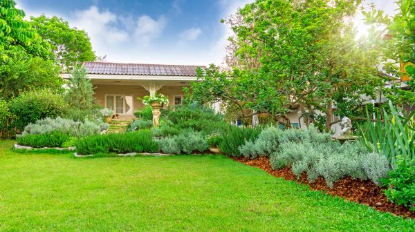 Greenery Planting in Prescott Valley