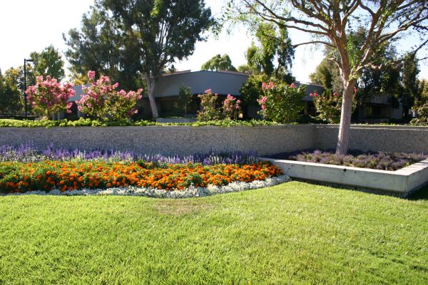 Commercial Landscape Service in Prescott Valley