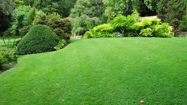 Commercial Landscape Design in Prescott Valley