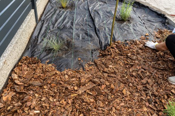 Pine Bark Spreading in Prescott Valley