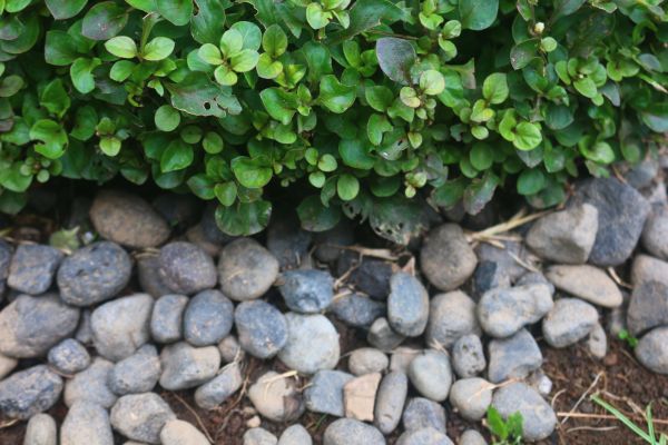 River Stone Installation in Prescott Valley