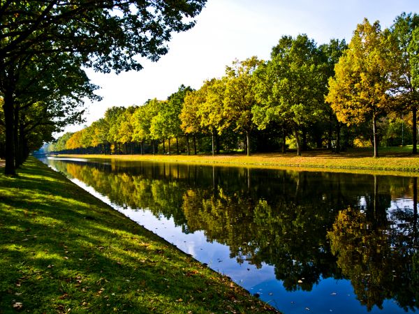 Bank Landscaping in Prescott Valley