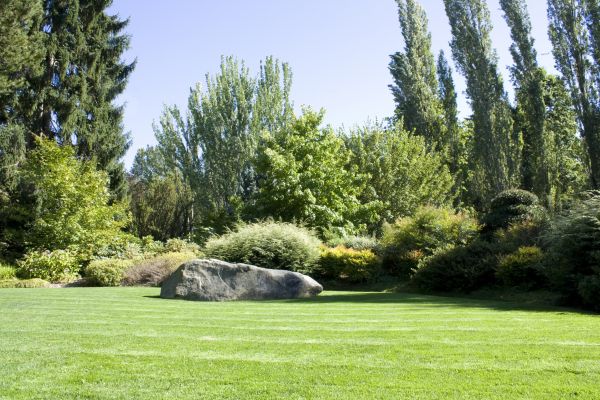 Yard Enlargement in Prescott Valley