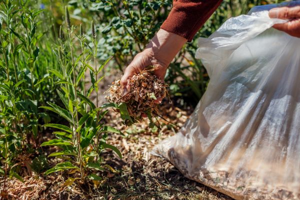Wood Mulch Installation in Prescott Valley