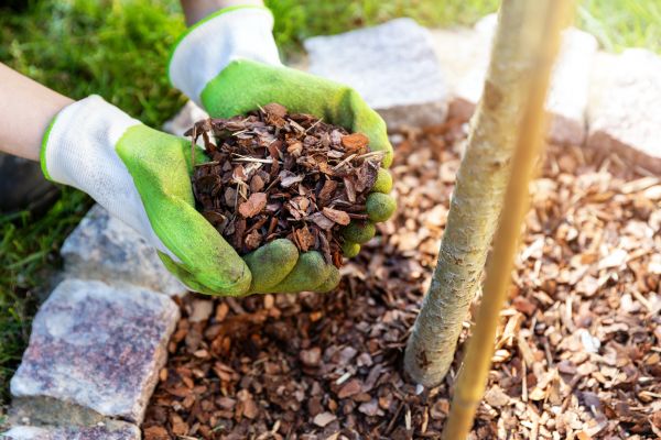 Tree Bark Delivery in Prescott Valley
