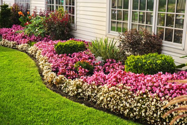 Garden Landscape Design in Prescott Valley