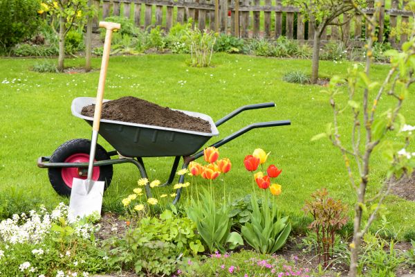 Spring Yard Renovation in Prescott Valley