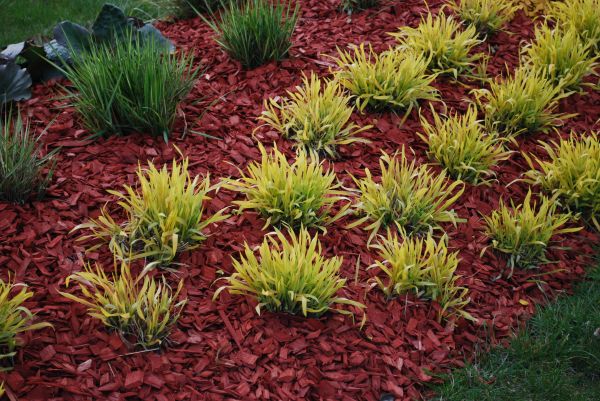 Red Mulch Installation in Prescott Valley