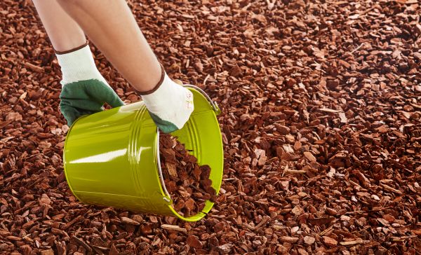 Wood Chip Landscaping in Prescott Valley
