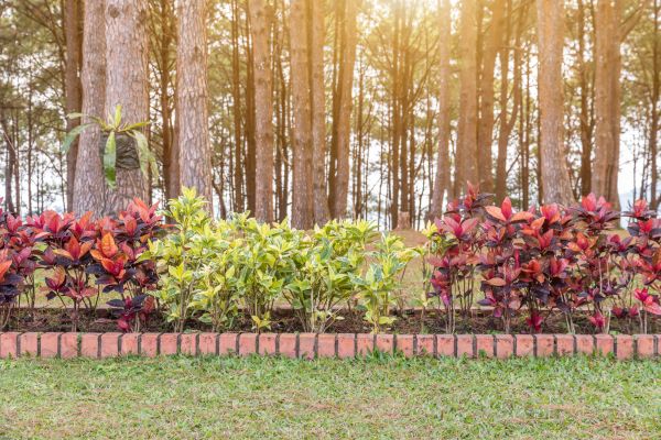 Small Garden Landscaping in Prescott Valley