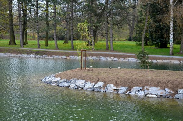 Pond Landscaping Service in Prescott Valley