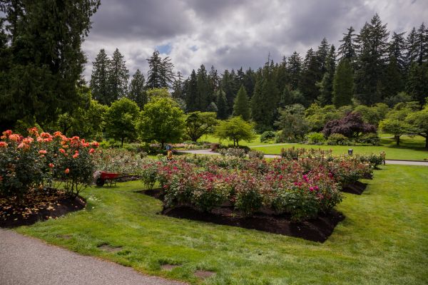 Flower Garden Landscaping in Prescott Valley