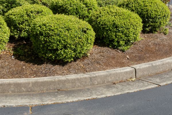 Pine Mulch Installation in Prescott Valley