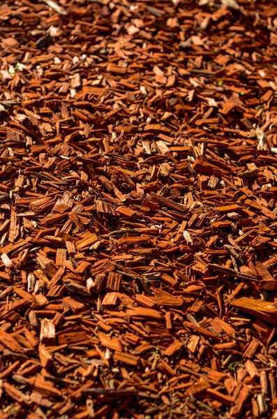 Cedar Mulch Spreading in Prescott Valley