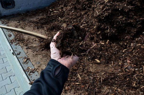 Condo Mulching in Prescott Valley